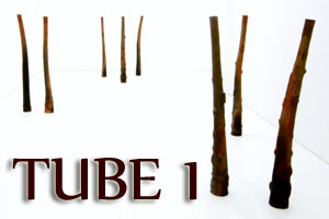 tube 1 ギャラリー　チューブ　管１